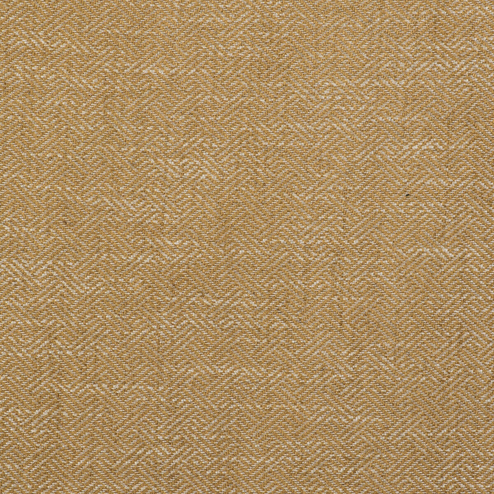 Enea Oro by Gaston Y Daniela Fabric GASTON LIBRERIA VISCOSE - 52%;COTTON - 23%;LINEN - 14%;POLYESTER - 11% Belgium HEAVY Horizontal: 0.91 and Vertical: 1.1 54 - Fabric Carolina -