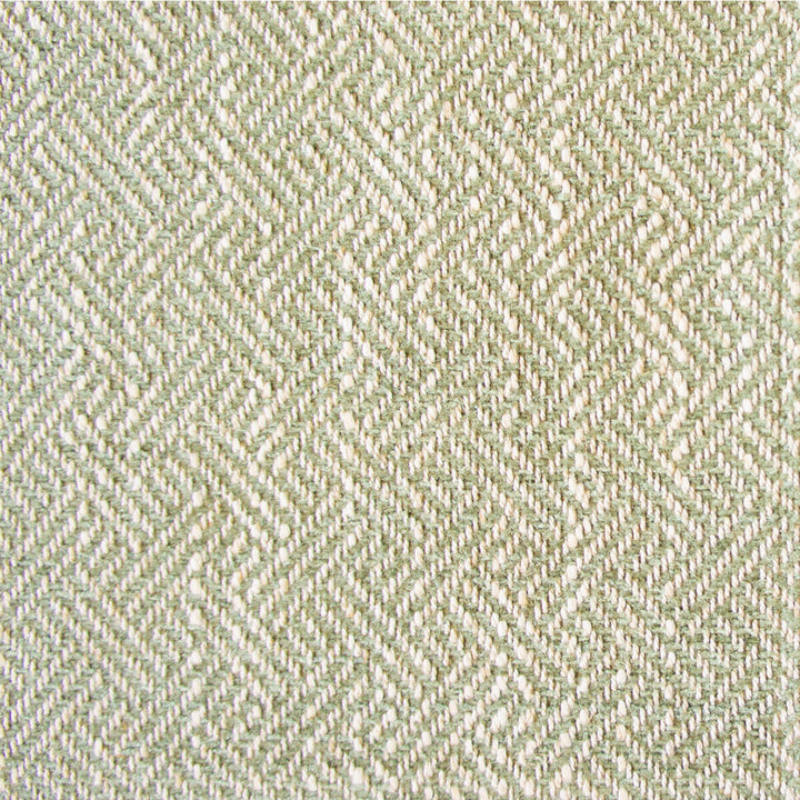 Enea Verde Claro by Gaston Y Daniela Fabric GASTON LIBRERIA VISCOSE - 52%;COTTON - 23%;LINEN - 14%;POLYESTER - 11% Belgium HEAVY Horizontal: 0.91 and Vertical: 1.1 54 - Fabric Carolina -