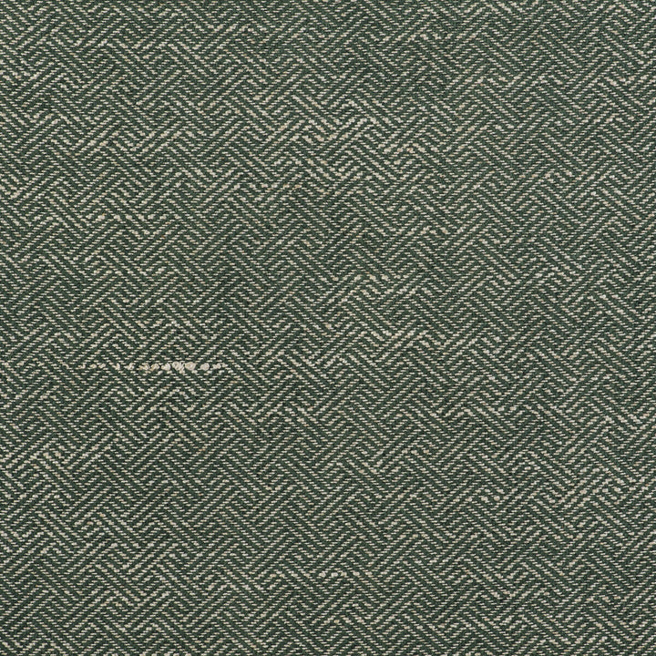 Enea Verde by Gaston Y Daniela Designer Fabric GASTON LIBRERIA VISCOSE - 52%;COTTON - 23%;LINEN - 14%;POLYESTER - 11% Belgium HEAVY Horizontal: 0.91 and Vertical: 1.1 54 - Swanky Fabrics -