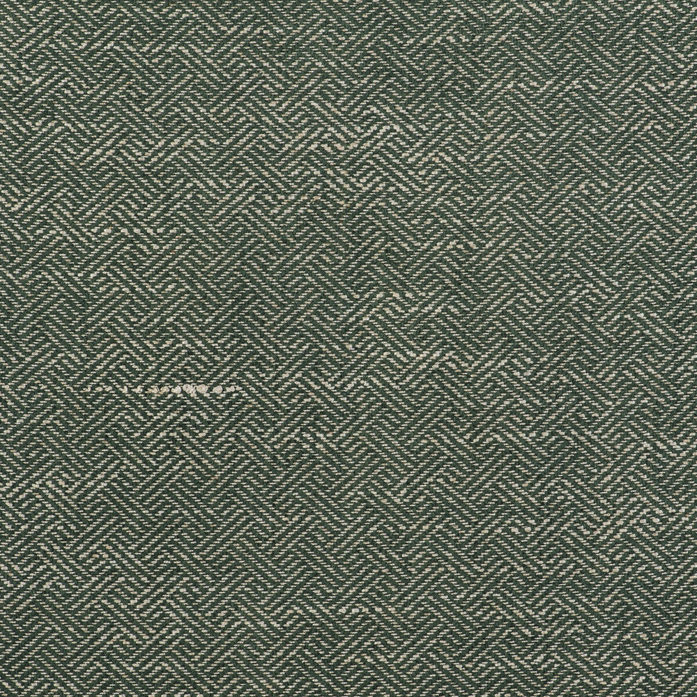 Enea Verde by Gaston Y Daniela Designer Fabric GASTON LIBRERIA VISCOSE - 52%;COTTON - 23%;LINEN - 14%;POLYESTER - 11% Belgium HEAVY Horizontal: 0.91 and Vertical: 1.1 54 - Swanky Fabrics -