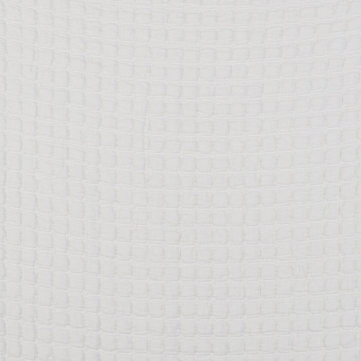Morera Blanco by Gaston Y Daniela Fabric GASTON LIBRERIA COTTON - 100% Italy Horizontal: 0.55 and Vertical: 0.51 110 - Fabric Carolina -
