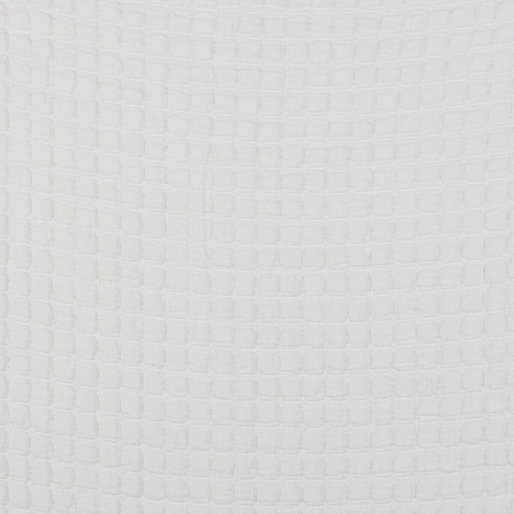 Morera Blanco by Gaston Y Daniela Designer Fabric GASTON LIBRERIA COTTON - 100% Italy Horizontal: 0.55 and Vertical: 0.51 110 - Swanky Fabrics -