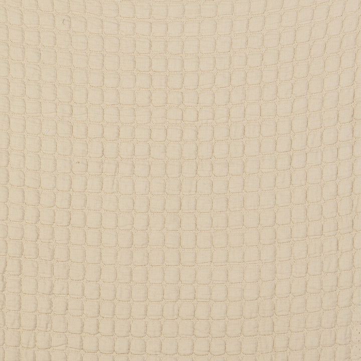 Morera Crudo by Gaston Y Daniela Designer Fabric GASTON LIBRERIA COTTON - 100% Italy Horizontal: 0.55 and Vertical: 0.51 110 - Swanky Fabrics -