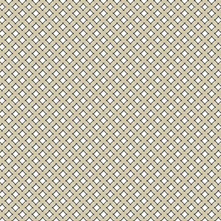 Trellis Beige/Negro by Gaston Y Daniela Designer Fabric GASTON LIBRERIA COTTON - 100% Spain MEDIUM Horizontal: 3.84 and Vertical: 3.81 57.5 - Swanky Fabrics -