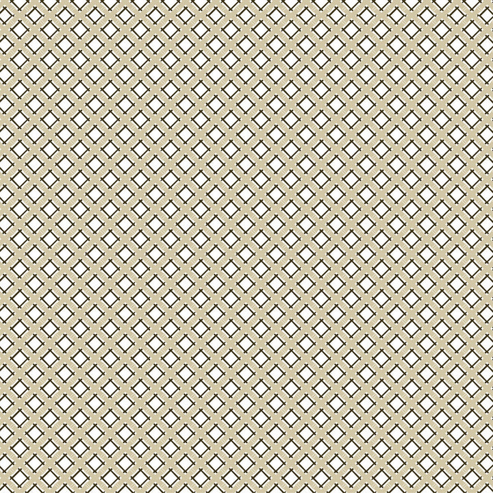 Trellis Beige/Negro by Gaston Y Daniela Fabric GASTON LIBRERIA COTTON - 100% Spain MEDIUM Horizontal: 3.84 and Vertical: 3.81 57.5 - Fabric Carolina -