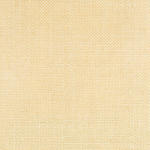 Peru Beige by Gaston Y Daniela Fabric