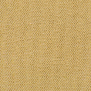 Lima Oro by Gaston Y Daniela Fabric