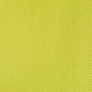 Lima Apple Green by Gaston Y Daniela Fabric