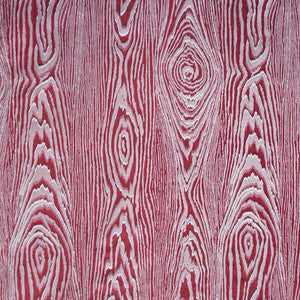 Haru Rojo by Gaston Y Daniela Fabric