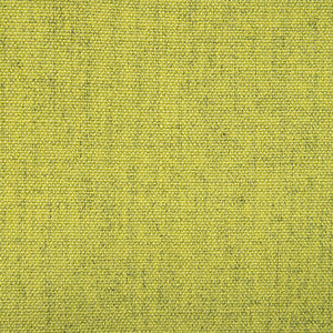 Kuu Verde by Gaston Y Daniela Fabric