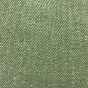 Hisa Verde Agua by Gaston Y Daniela Fabric
