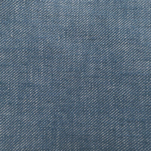 Hisa Azul by Gaston Y Daniela Fabric