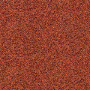 Apache Teja by Gaston Y Daniela Fabric