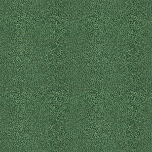 Apache Verde by Gaston Y Daniela Fabric