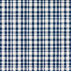 Drach Blanco/Azul Oscuro GDT5675.002.0 by Gaston Y Daniela Fabric