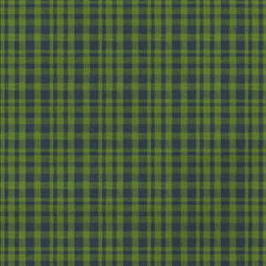 Drach Verde/Azul GDT5675.008.0 by Gaston Y Daniela Fabric