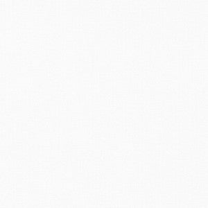 Palma Blanco GDT5688.001.0 by Gaston Y Daniela Fabric