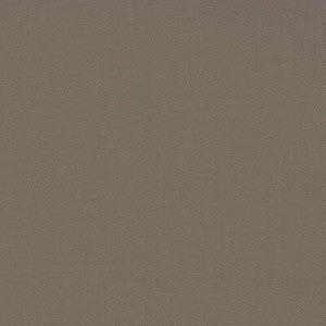 Palma Carton GDT5688.036.0 by Gaston Y Daniela Fabric