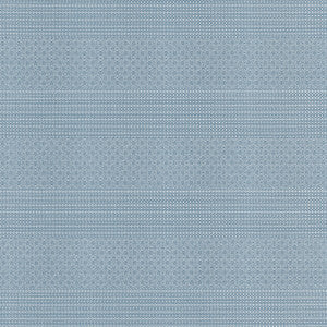 Kailas Azul Claro GDT5697.005.0 by Gaston Y Daniela Fabric