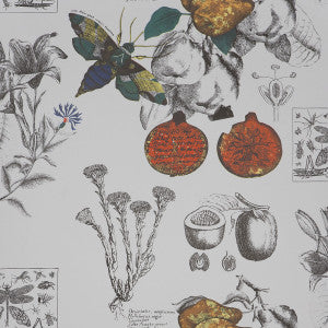 Lineo 001 GDW4848.001.0 by Gaston Y Daniela Wallcovering