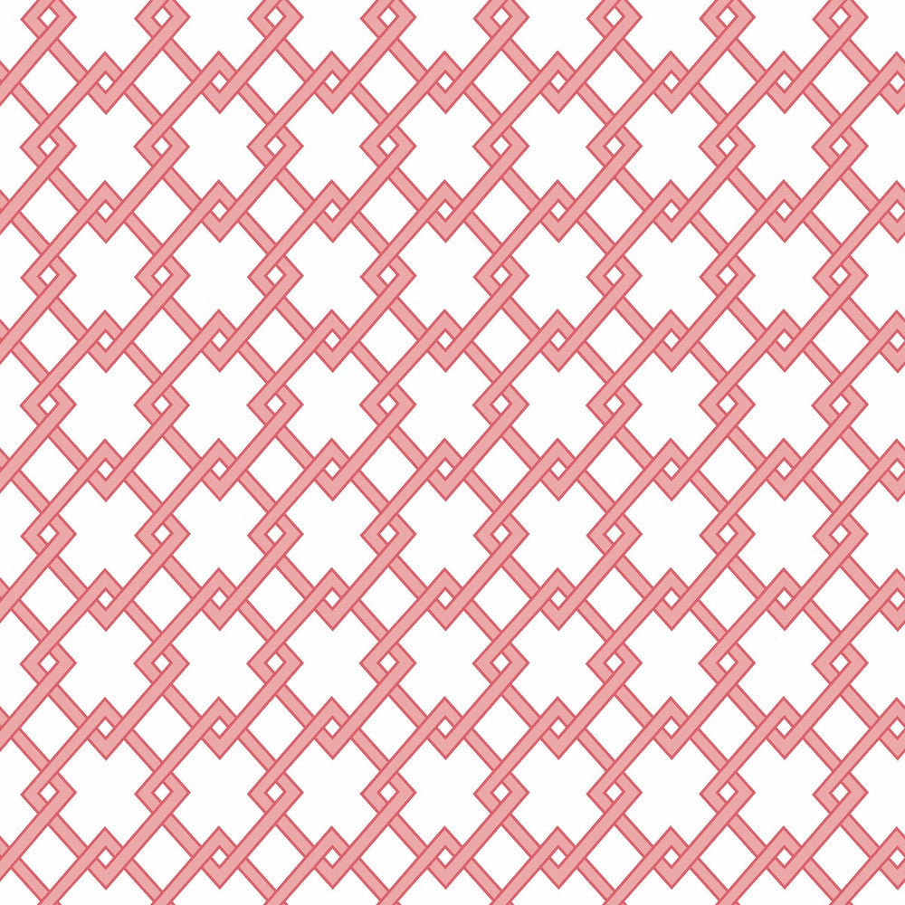 Bound Rosa by Gaston Y Daniela Designer Wallcovering GASTON LIBRERIA PAPER - 100% Spain Horizontal: 0 and Vertical: 2.9 20.8 - Swanky Fabrics -