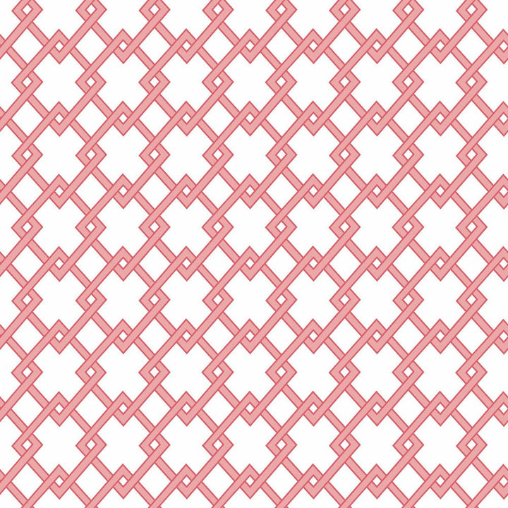 Bound Rosa by Gaston Y Daniela Designer Wallcovering GASTON LIBRERIA PAPER - 100% Spain Horizontal: 0 and Vertical: 2.9 20.8 - Swanky Fabrics -