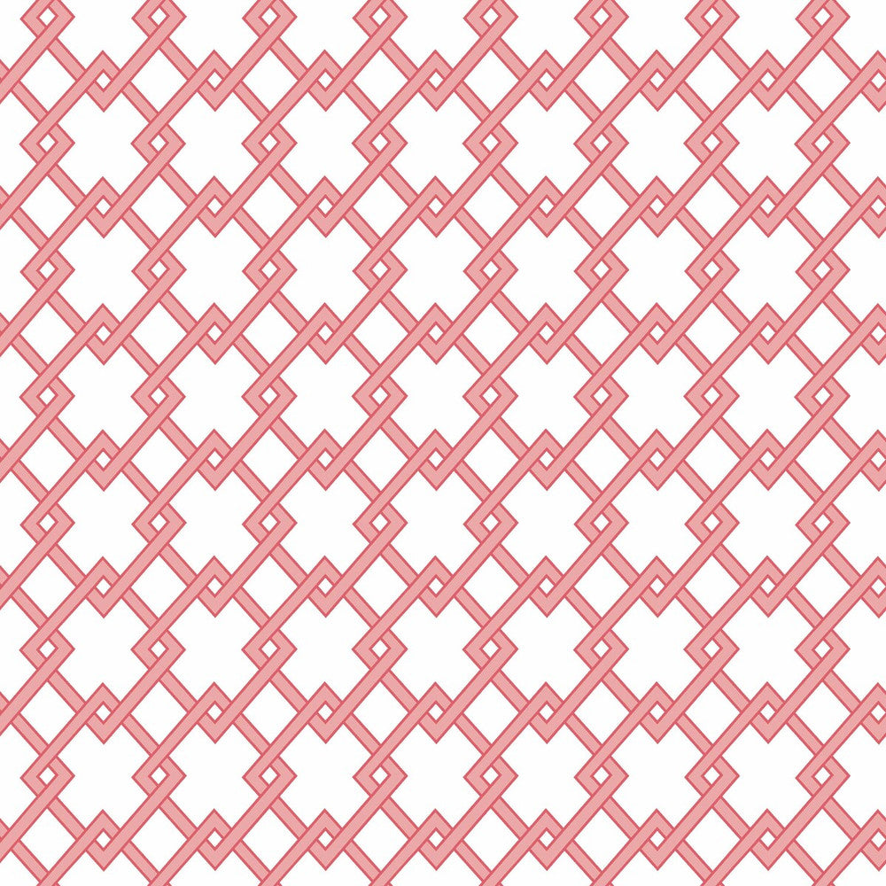 Bound Rosa by Gaston Y Daniela Wallcovering GASTON LIBRERIA PAPER - 100% Spain - Horizontal: 0 and Vertical: 2.9 20.8 - Fabric Carolina -