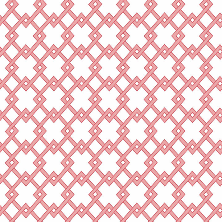 Bound Rosa by Gaston Y Daniela Wallcovering GASTON LIBRERIA PAPER - 100% Spain - Horizontal: 0 and Vertical: 2.9 20.8 - Fabric Carolina -