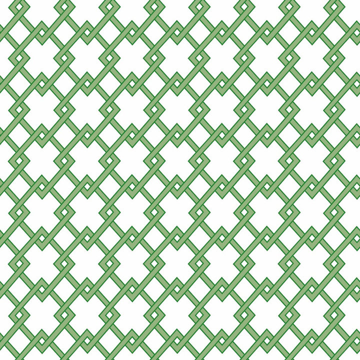 Bound Verde by Gaston Y Daniela Wallcovering GASTON LIBRERIA PAPER - 100% Spain - Horizontal: 0 and Vertical: 2.9 20.8 - Fabric Carolina -