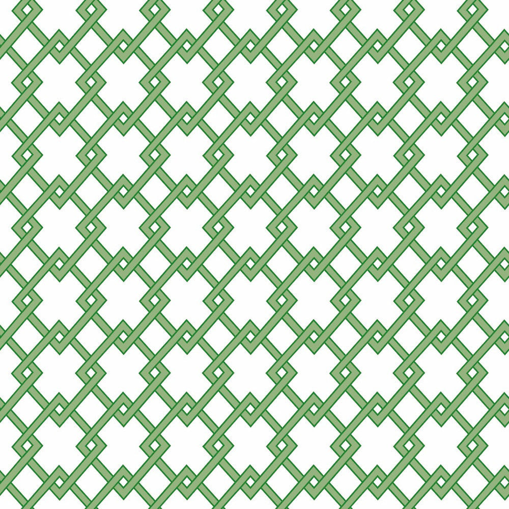 Bound Verde by Gaston Y Daniela Designer Wallcovering GASTON LIBRERIA PAPER - 100% Spain - Horizontal: 0 and Vertical: 2.9 20.8 - Swanky Fabrics -