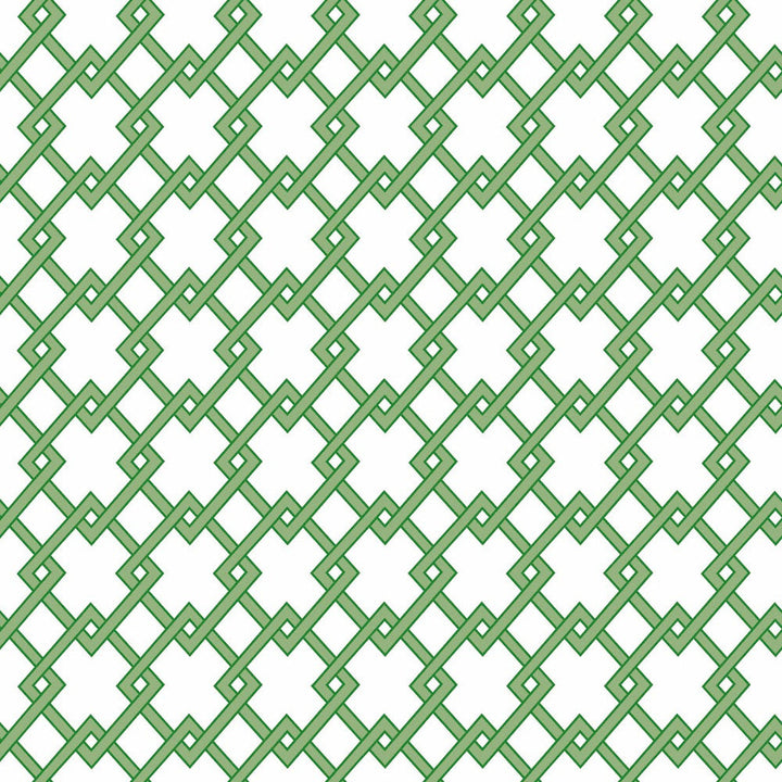 Bound Verde by Gaston Y Daniela Designer Wallcovering GASTON LIBRERIA PAPER - 100% Spain - Horizontal: 0 and Vertical: 2.9 20.8 - Swanky Fabrics -