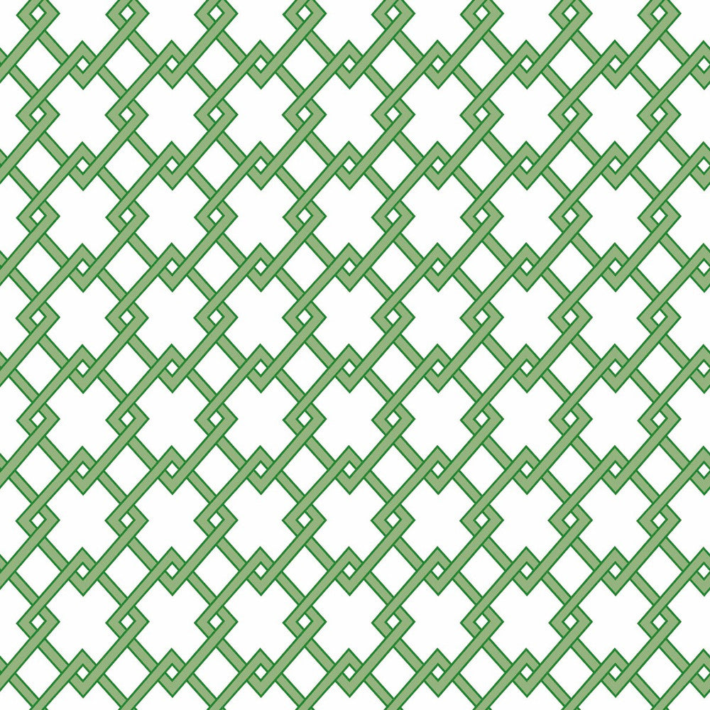 Bound Verde by Gaston Y Daniela Wallcovering GASTON LIBRERIA PAPER - 100% Spain Horizontal: 0 and Vertical: 2.9 20.8 - Fabric Carolina -