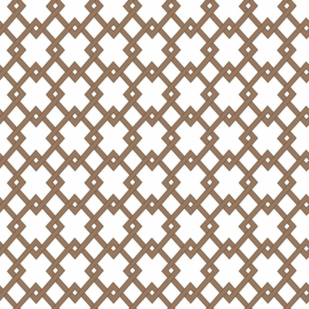 Bound Marron by Gaston Y Daniela Wallcovering GASTON LIBRERIA PAPER - 100% Spain - Horizontal: 0 and Vertical: 2.9 20.8 - Fabric Carolina -