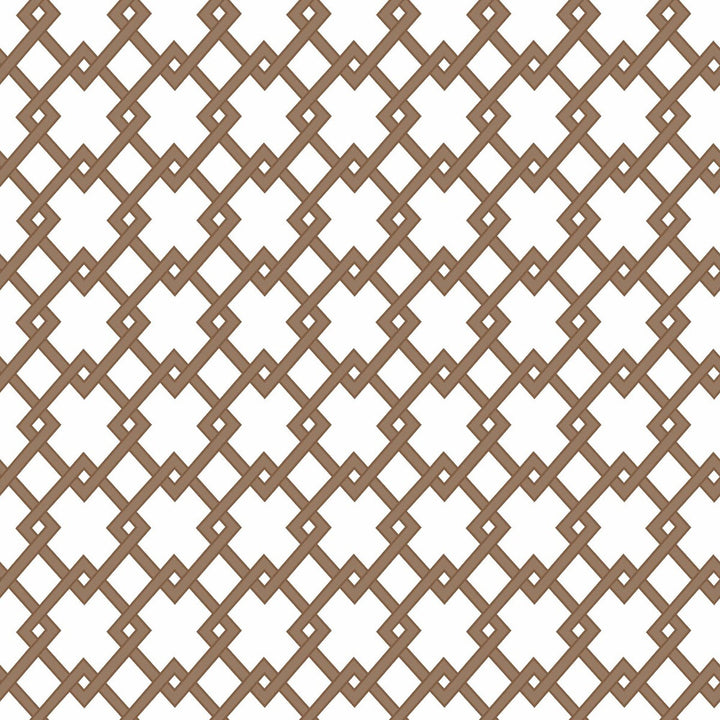 Bound Marron by Gaston Y Daniela Wallcovering GASTON LIBRERIA PAPER - 100% Spain Horizontal: 0 and Vertical: 2.9 20.8 - Fabric Carolina -