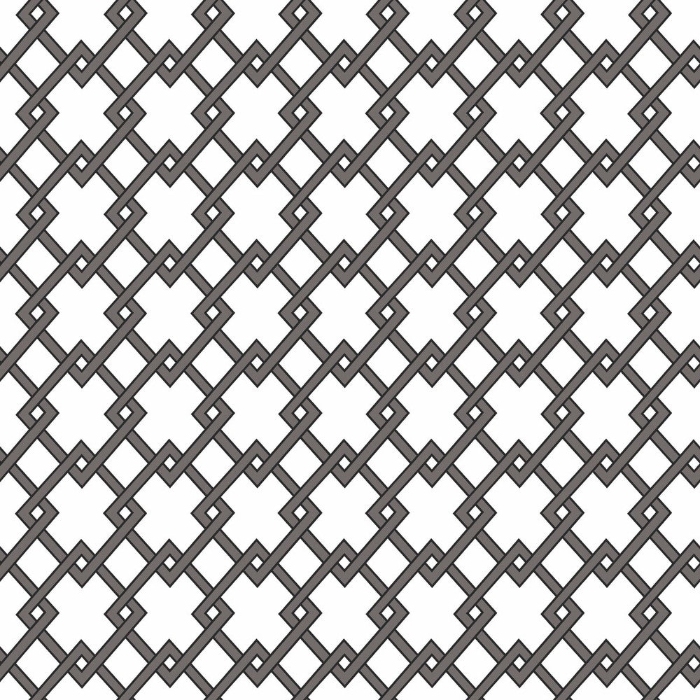 Bound Antracita by Gaston Y Daniela Wallcovering GASTON LIBRERIA PAPER - 100% Spain Horizontal: 0 and Vertical: 2.9 20.8 - Fabric Carolina -