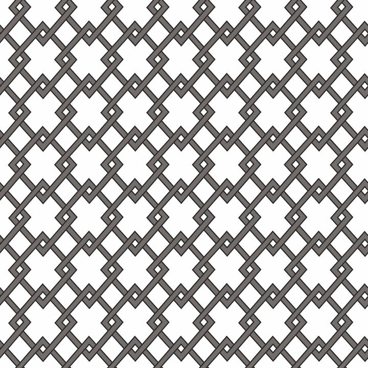Bound Antracita by Gaston Y Daniela Wallcovering GASTON LIBRERIA PAPER - 100% Spain - Horizontal: 0 and Vertical: 2.9 20.8 - Fabric Carolina -