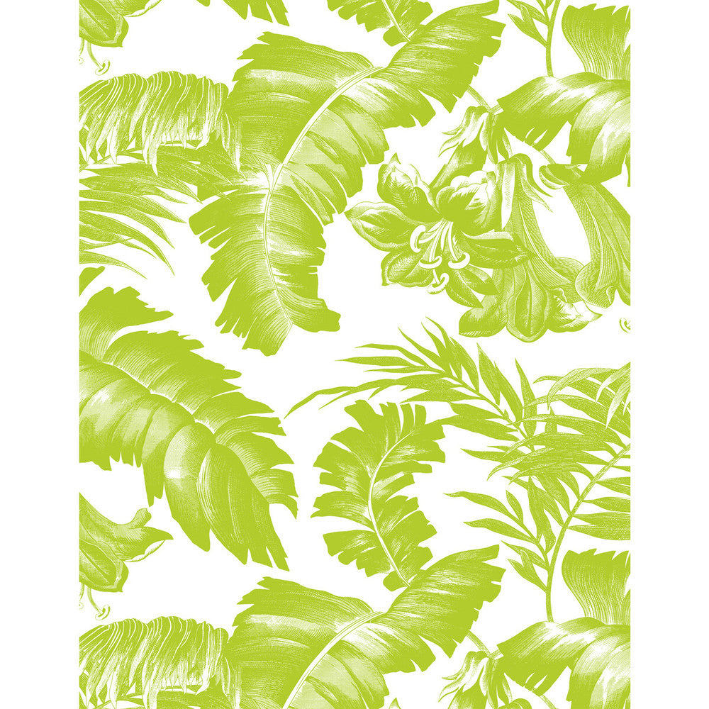 Plantation Verde by Gaston Y Daniela Wallcovering GASTON LIBRERIA VINYL - 100% Italy - Horizontal: 0 and Vertical: 27.5 27.5 - Fabric Carolina -