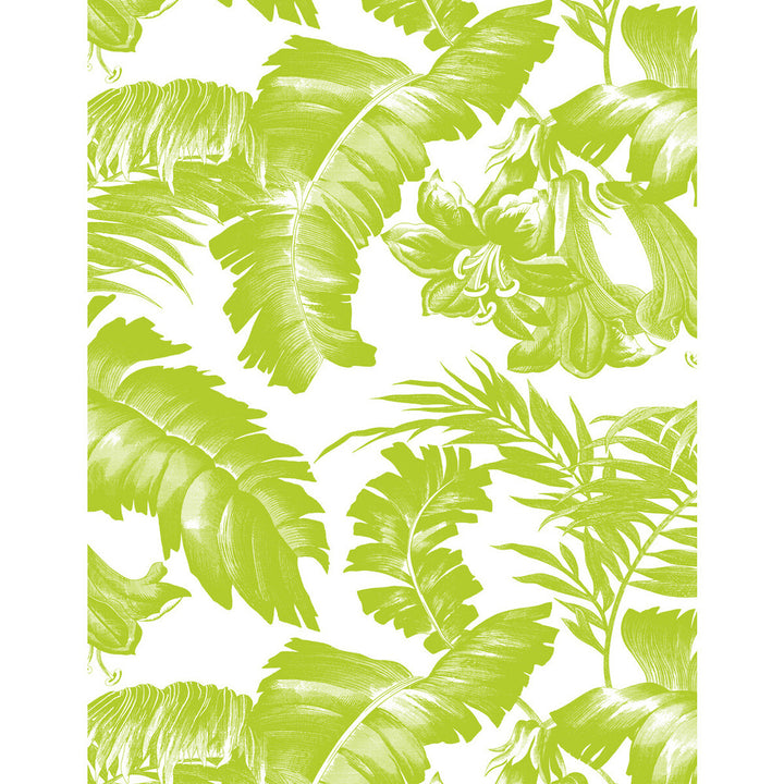 Plantation Verde by Gaston Y Daniela Wallcovering GASTON LIBRERIA VINYL - 100% Italy - Horizontal: 0 and Vertical: 27.5 27.5 - Fabric Carolina -