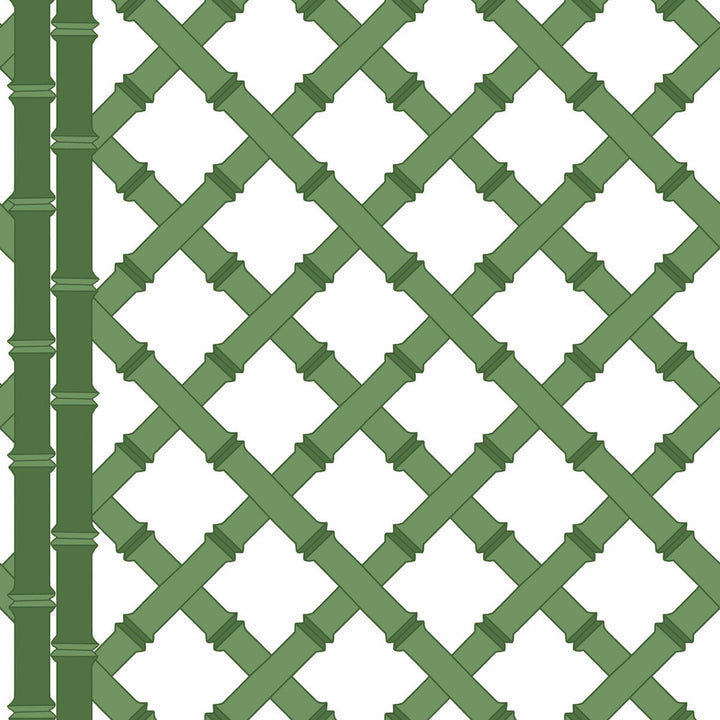 Trellis Blanco/Verde by Gaston Y Daniela Wallcovering GASTON LIBRERIA PAPER - 100% Spain Horizontal: 0 and Vertical: 10.4 20.8 - Fabric Carolina -