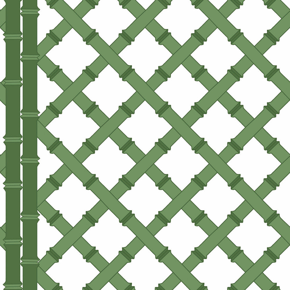 Trellis Blanco/Verde by Gaston Y Daniela Wallcovering GASTON LIBRERIA PAPER - 100% Spain Horizontal: 0 and Vertical: 10.4 20.8 - Fabric Carolina -