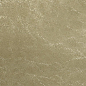 Glaze # 101 Beach by Maxwell Fabric