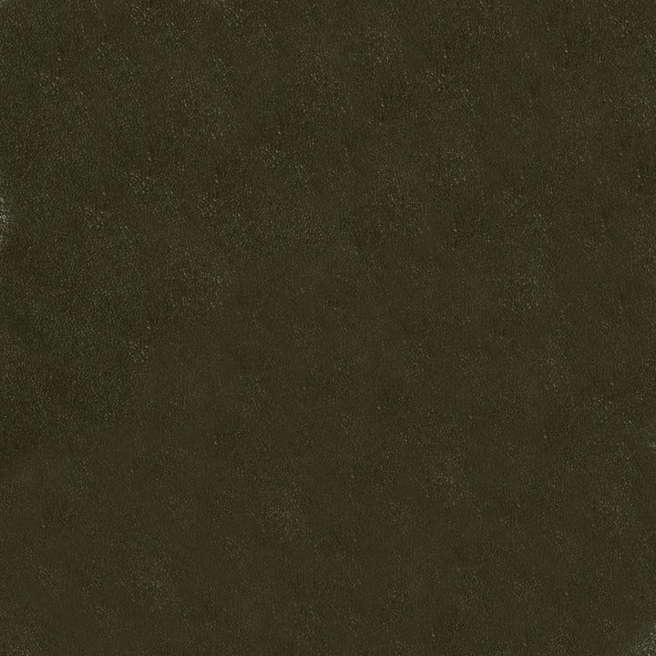 Glaze # 102 Cactus by Maxwell Fabric Vinyls V - Contract 100% PVC BACKING-POLY/COTTON TAIWAN 54" - Fabric Carolina -