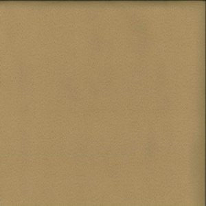 Gem Cappuccino by Norbar Fabric