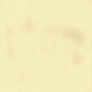 Gem Lemon by Norbar Fabric See Sample 100% POLYESTER TAIWAN 54 - Fabric Carolina -