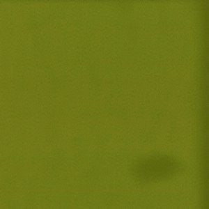 Gem Vine by Norbar Fabric METRO 100% POLYESTER TAIWAN </p><p>Repeat: 54 - Fabric Carolina -