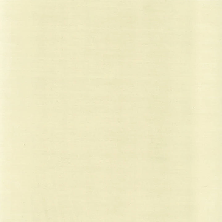Genoa 2 Driftwood by Stout Designer Fabric COLOR MY WINDOW NEUTRAL/MICA 100%POL INDIA Horizontal: 0.000 and Vertical: 0.000 54 in - Swanky Fabrics -