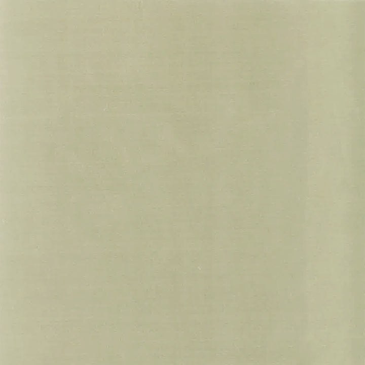 Genoa 4 Taupe by Stout Fabric COLOR MY WINDOW BIRCH/LINEN 100%POL INDIA FLAME RETARDANT-U.F.A.C. CLASS 1 CATB 117-2013 WYZENBEEK 45 000 DOUBLE RUB WEAR TEST (HEAVY DUTY) Horizontal: 0 and Vertical: 0 54 in - Fabric Carolina -