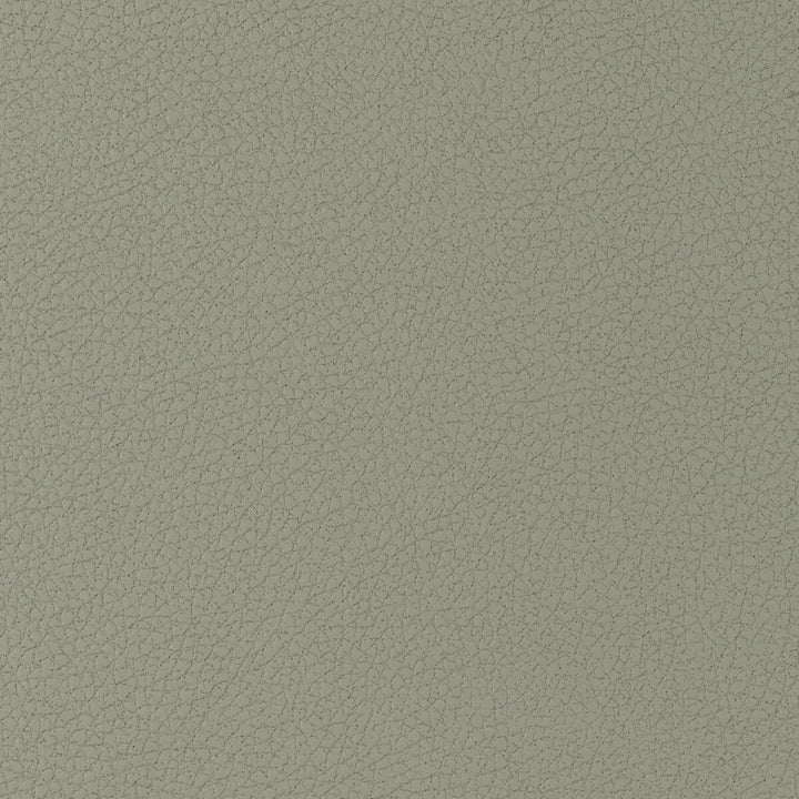 Genslar-1121 by Kravet Design Fabric POLYURETHANE - 100% Japan HEAVY Horizontal: 0 and Vertical: 0 54 - Fabric Carolina -