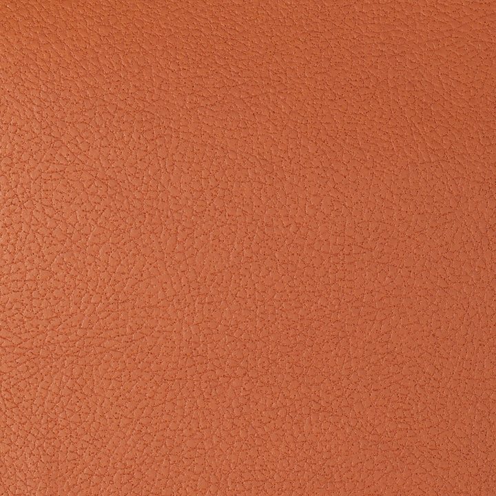 Genslar-12 by Kravet Design Fabric POLYURETHANE - 100% Japan HEAVY Horizontal: 0 and Vertical: 0 54 - Fabric Carolina -