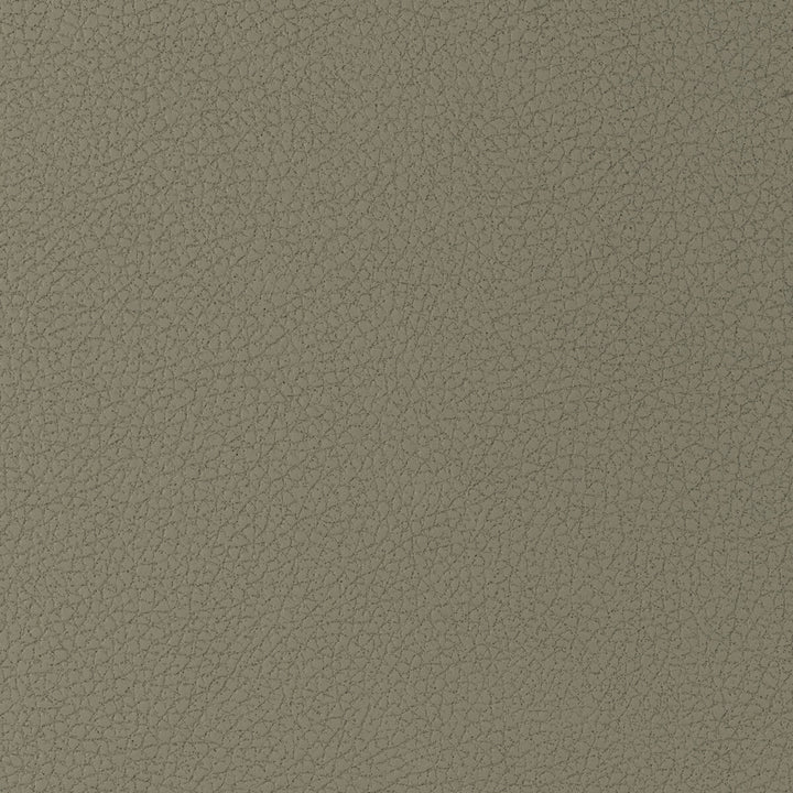 Genslar-1616 by Kravet Design Fabric POLYURETHANE - 100% Japan HEAVY Horizontal: 0 and Vertical: 0 54 - Fabric Carolina -